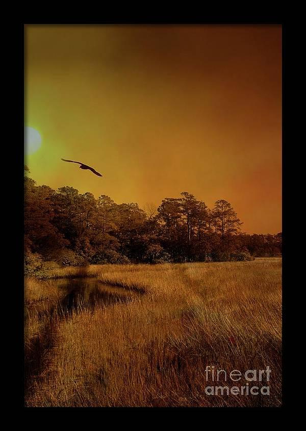 Fine Art Photo of the South Carolina Marshland