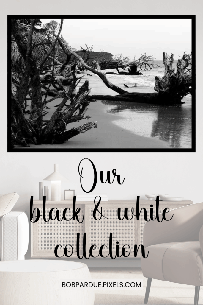 Discover Our Black and White Coastal Photography Collection!