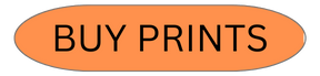 Buy prints online