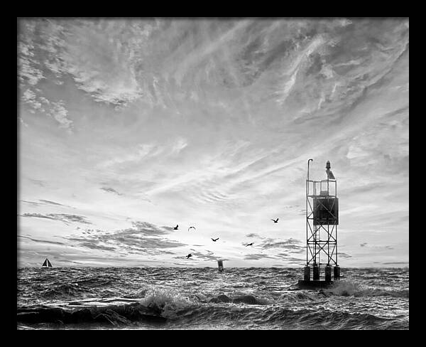 Bethany Beach Sunrise in Black and White Birds Over the Water