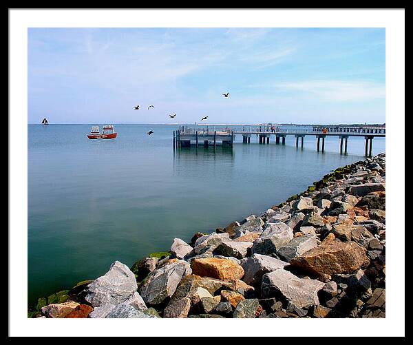 Lewes Beach and Jetty