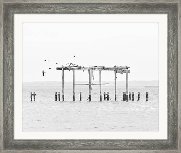 Apalachicola Dock in black and white by Bob Pardue
