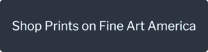 Shop prints on Fine Art America (Pixels)