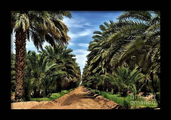Capturing the Timeless Beauty of Dateland Arizona Through Captivating Photography